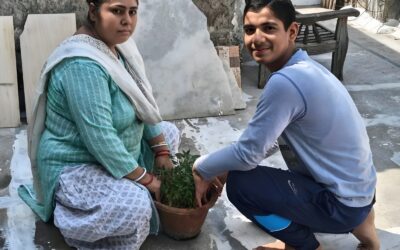 plantation-drive-sep-2025-3