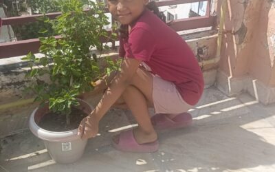 plantation-drive-sep-2025-4