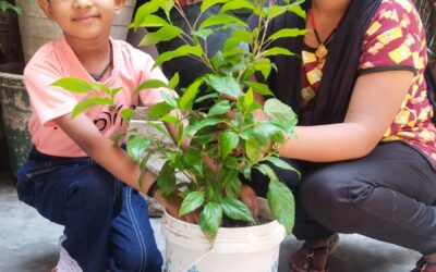 plantation-drive-sep-2025-5