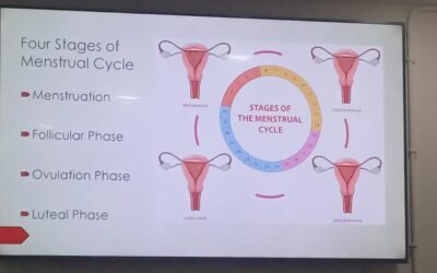 Menstrual Health6
